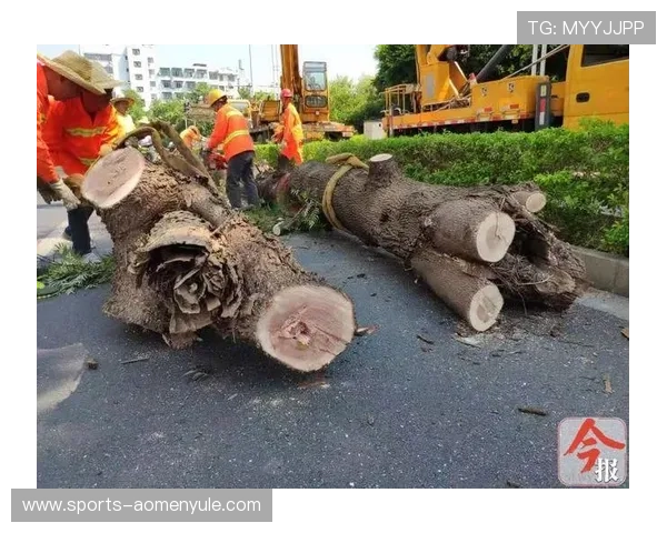 叶汉三株路技巧的关键要素详解，助你优化农田布局与管理